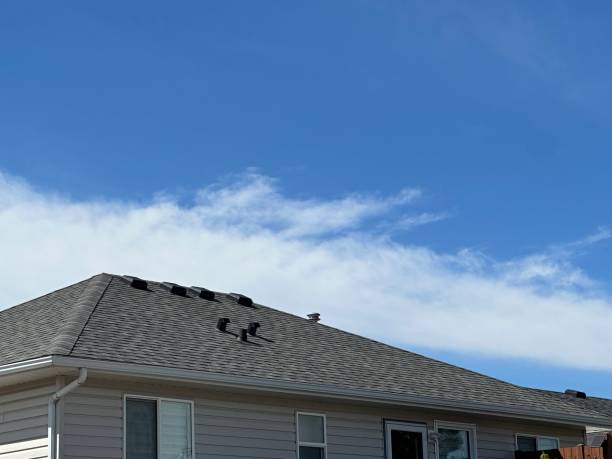 Best Cold Roofs  in Waianae, HI